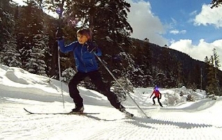 Technique du skating